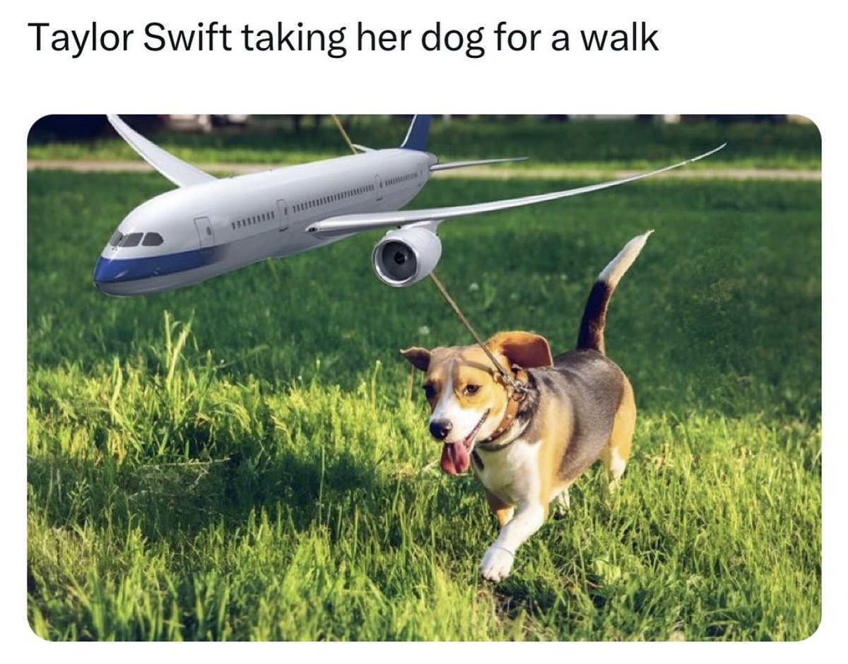 Sylvanis13's tweet photo. Me jumping on that Taylor Swift #memetrain https://t.co/Dd6cKSDHvZ