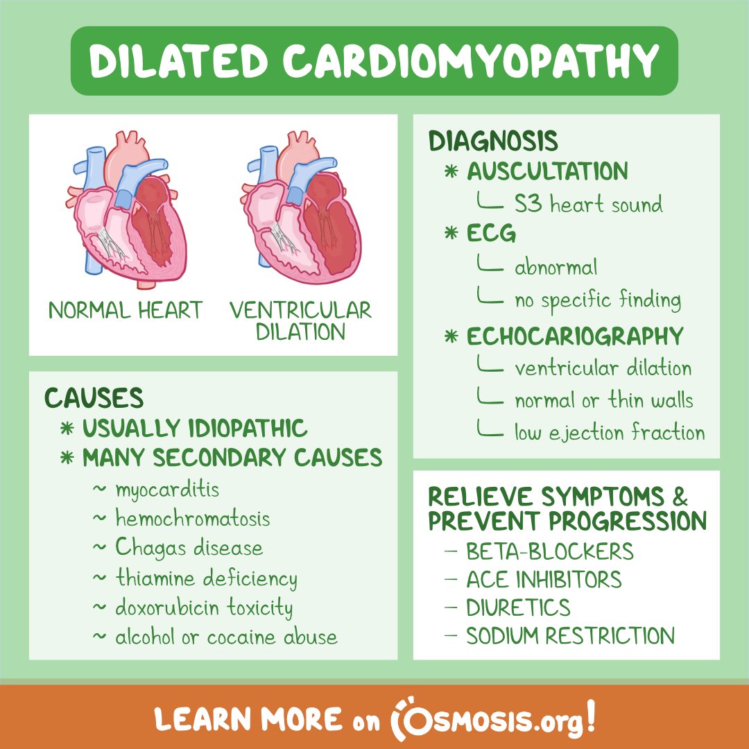 OsmosisMed's tweet photo. Today's #PathologyReview is on dilated cardiomyopathy, which occurs when the ventricular walls become thin and weak. As a result, ventricular chambers dilate and can lead to systolic dysfunction.
Learn more: https://t.co/0p9P4sxONB https://t.co/m9pCBuq0X4