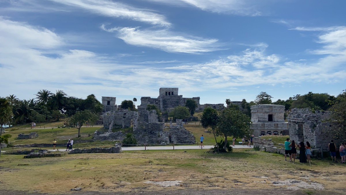 Rayku 🐺 tweet media