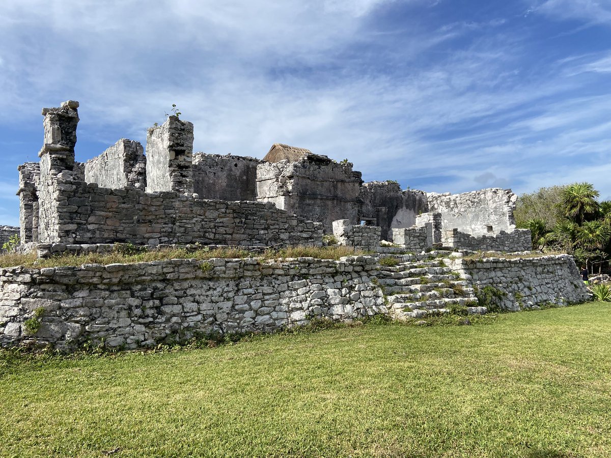 Rayku 🐺 tweet media