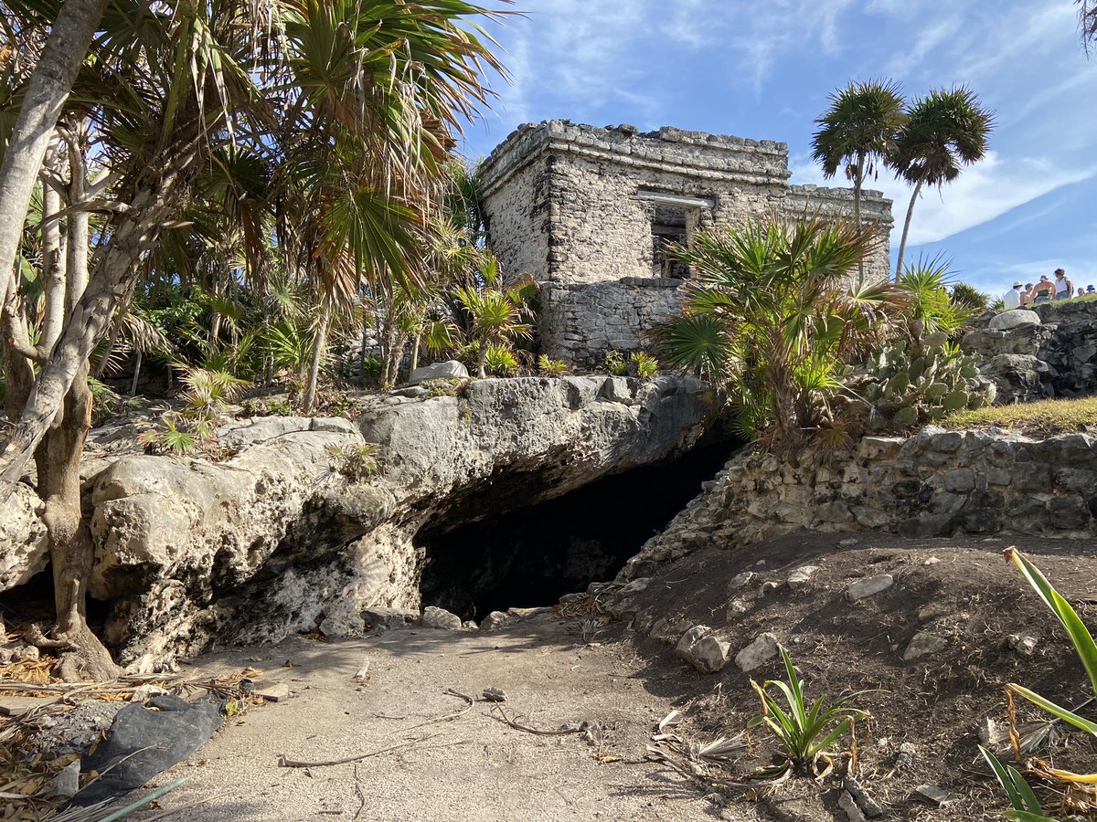 Rayku 🐺 tweet media