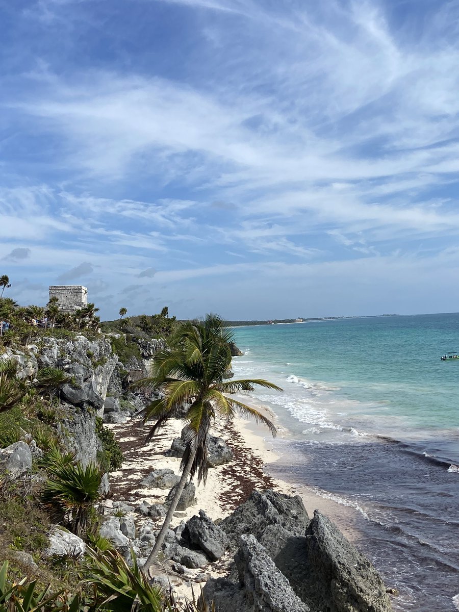 Rayku 🐺 tweet media