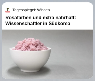 PAL_Blog's tweet photo. Ob diese Überschrift vom @Tagesspiegel Absicht war? 😂 https://t.co/rv3BbnV3Rd
