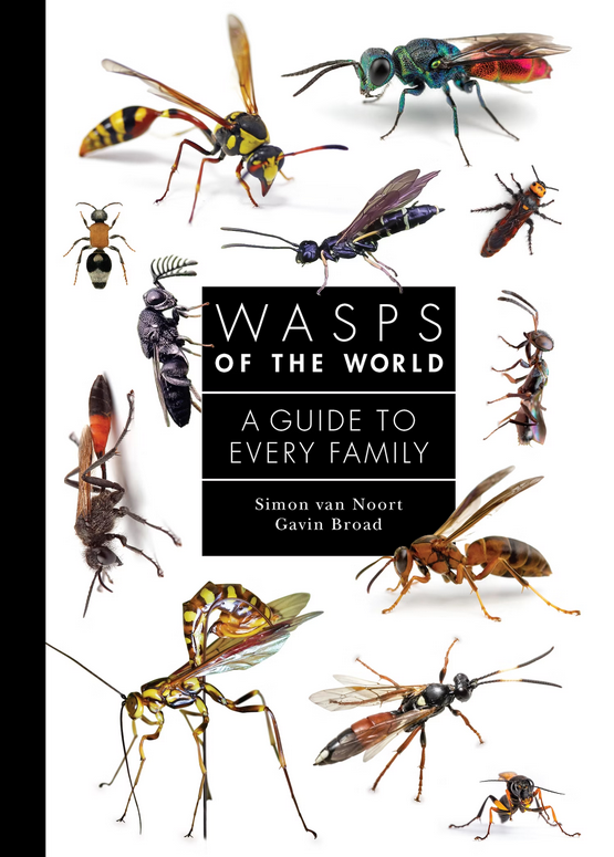 NHM_Science's tweet photo. Families of Wasps -we are very pleased to see the new book from our colleague @BroadGavin with Simon van Noort.   https://t.co/ROePjt0l78 https://t.co/2RIVinvUaG