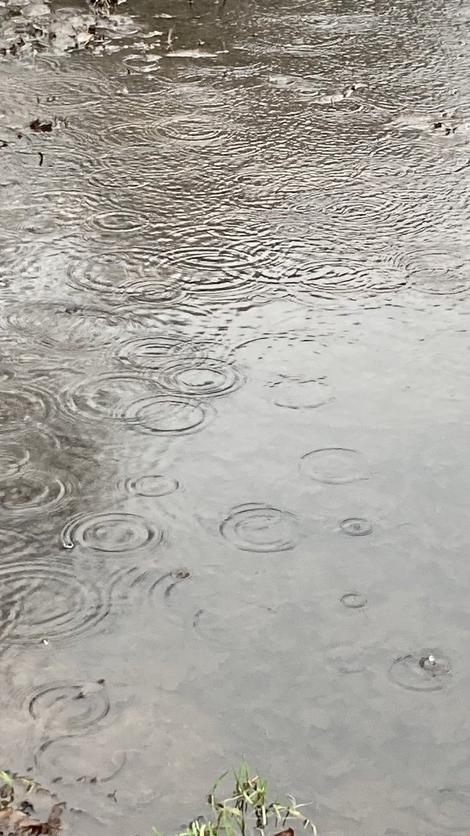 En er was weer een beetje regen…. #wandelen #genieten #voorjaar #natuur #weer #Valthe