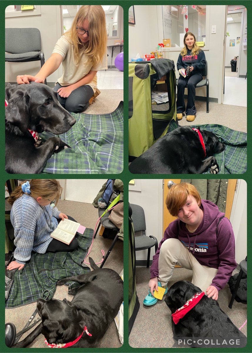 Dogs are just the best!! 🥰 
#180WaysLionsLead