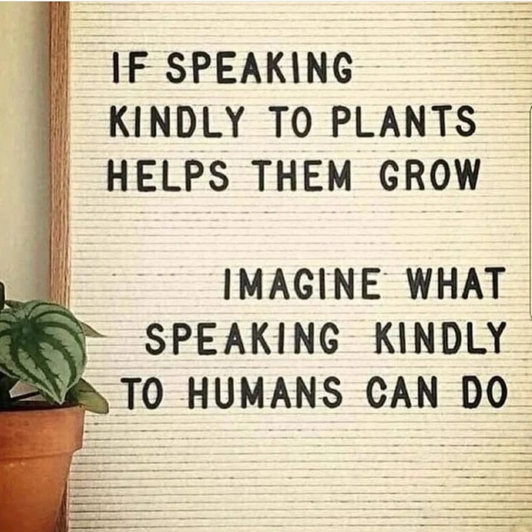 Catherine Ionata (@cat_maria1) on Twitter photo 