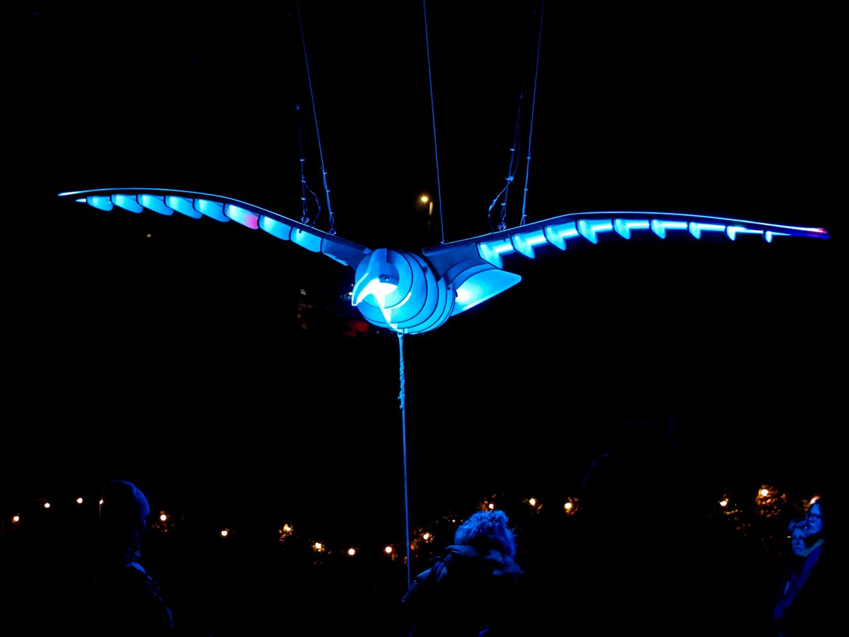 🕊️ The wildlife looks a little bit different down at #GLOW24

⭐️ @SuperCultureWsM

#bristollighting #eventlighting #eventproduction #events