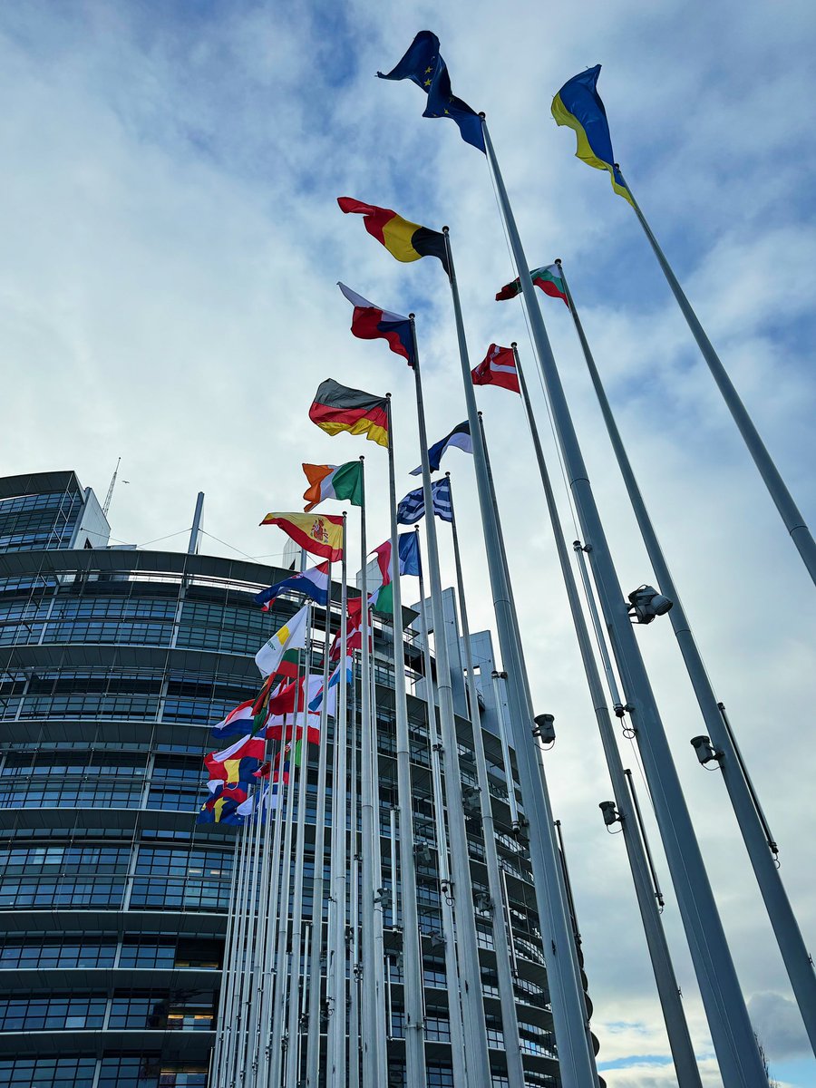 ArthurLeDenn's tweet photo. 📍 Alsace, février 2024.
#Strasbourg #ParlementEuropéen https://t.co/JPFH7jvTLT