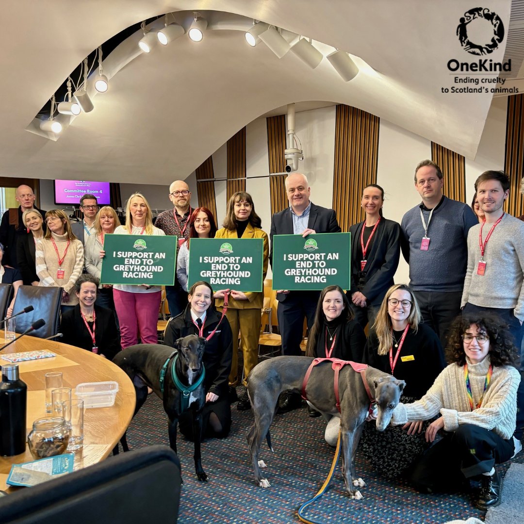 We were delighted to attend the launch & catch up with our #UnboundTheGreyhound coalition friends @SageHounds, @LeagueScotland, @animal_concern, @Jura_Harris, as well as fellow supportive animal welfare orgs including @ScottishSPCA, @The_Blue_Cross & @DogsTrust. 2/4