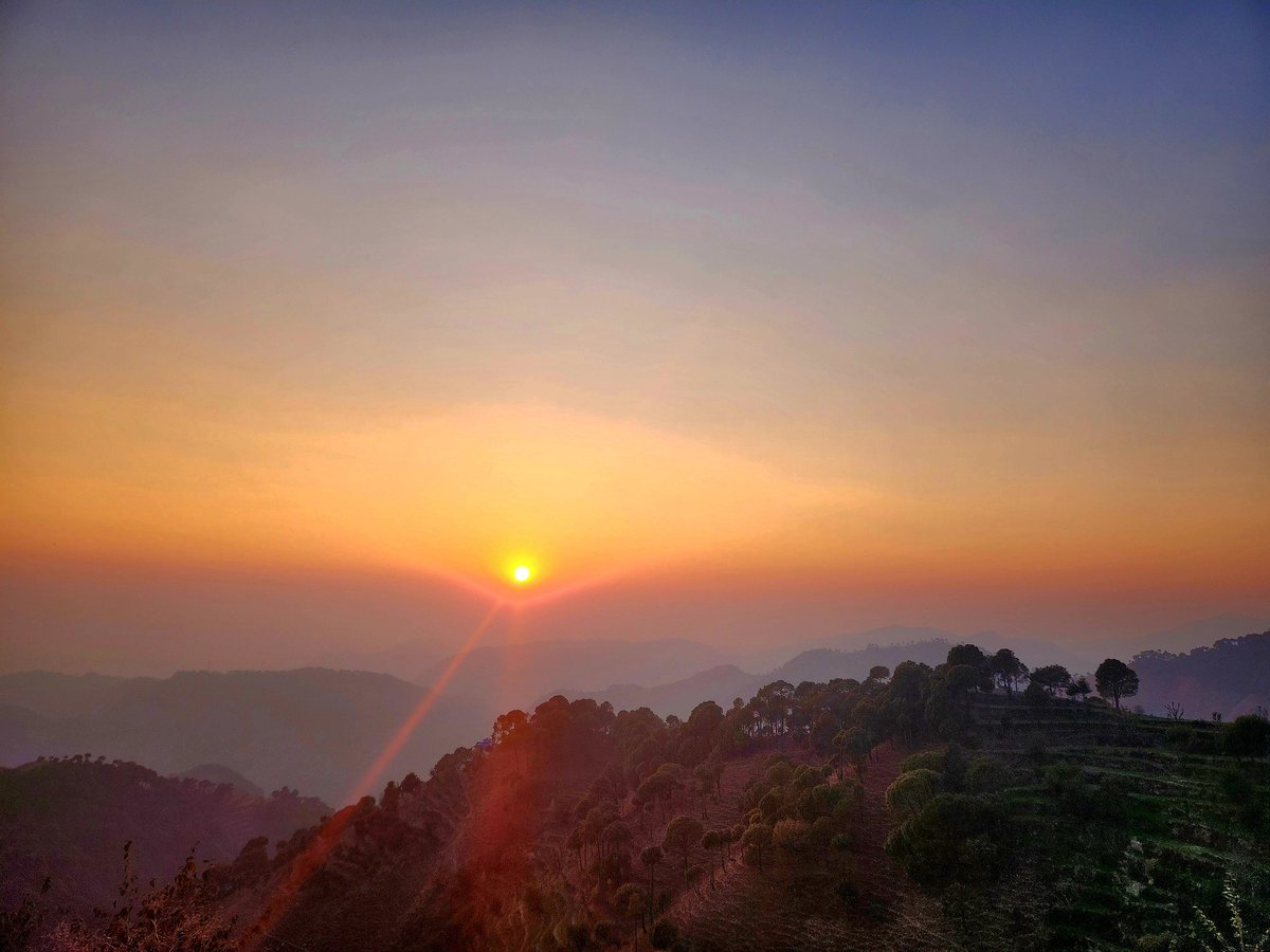 Aannamikka's tweet image. Shades of Nature!! ❣️

#HimachalPradesh #Jot #Khajjiar #Dalhousie #Chamba #NatureBeauty #photography #nature #photooftheday