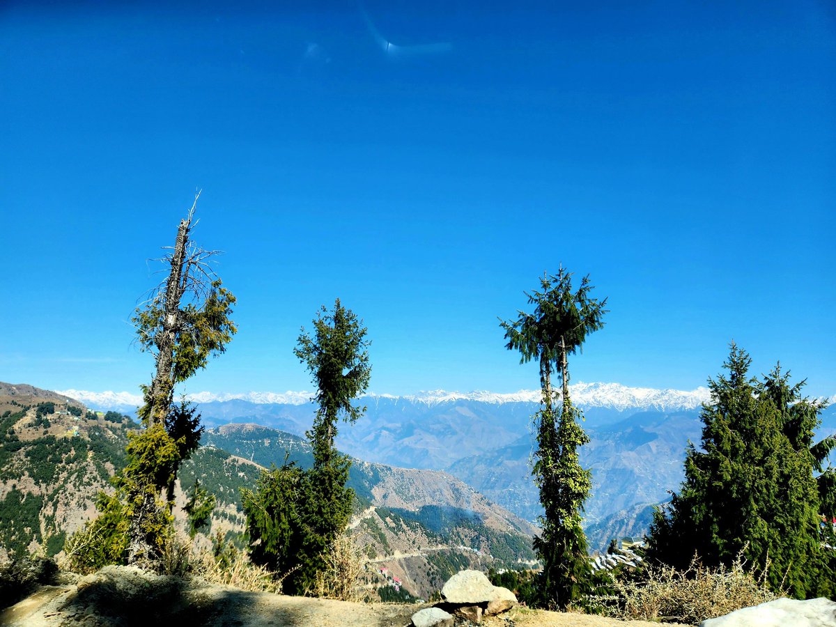 Aannamikka's tweet image. Shades of Nature!! ❣️

#HimachalPradesh #Jot #Khajjiar #Dalhousie #Chamba #NatureBeauty #photography #nature #photooftheday