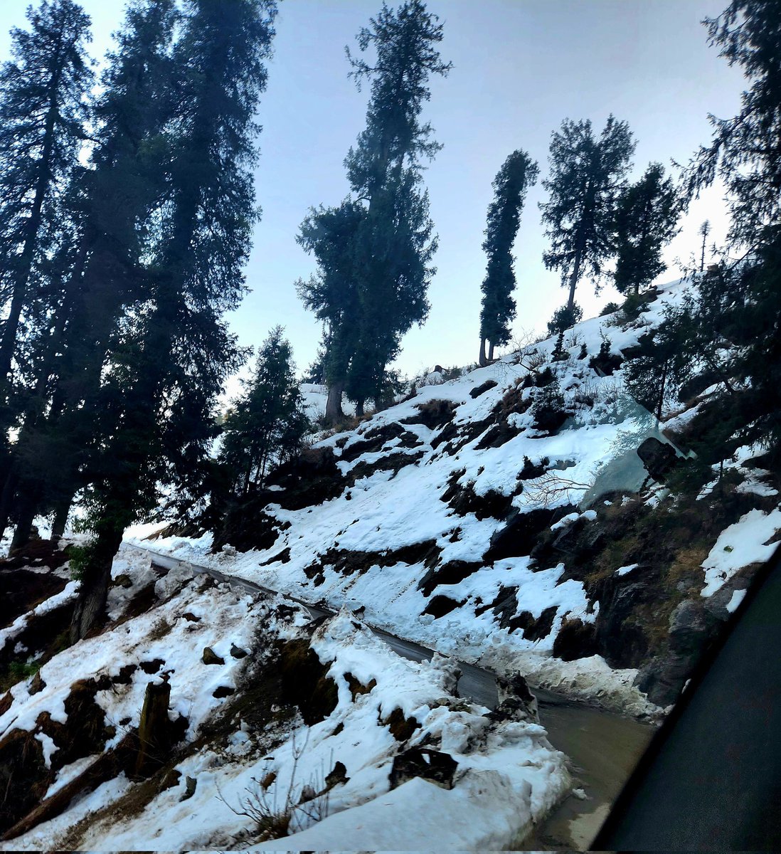 Aannamikka's tweet image. Shades of Nature!! ❣️

#HimachalPradesh #Jot #Khajjiar #Dalhousie #Chamba #NatureBeauty #photography #nature #photooftheday