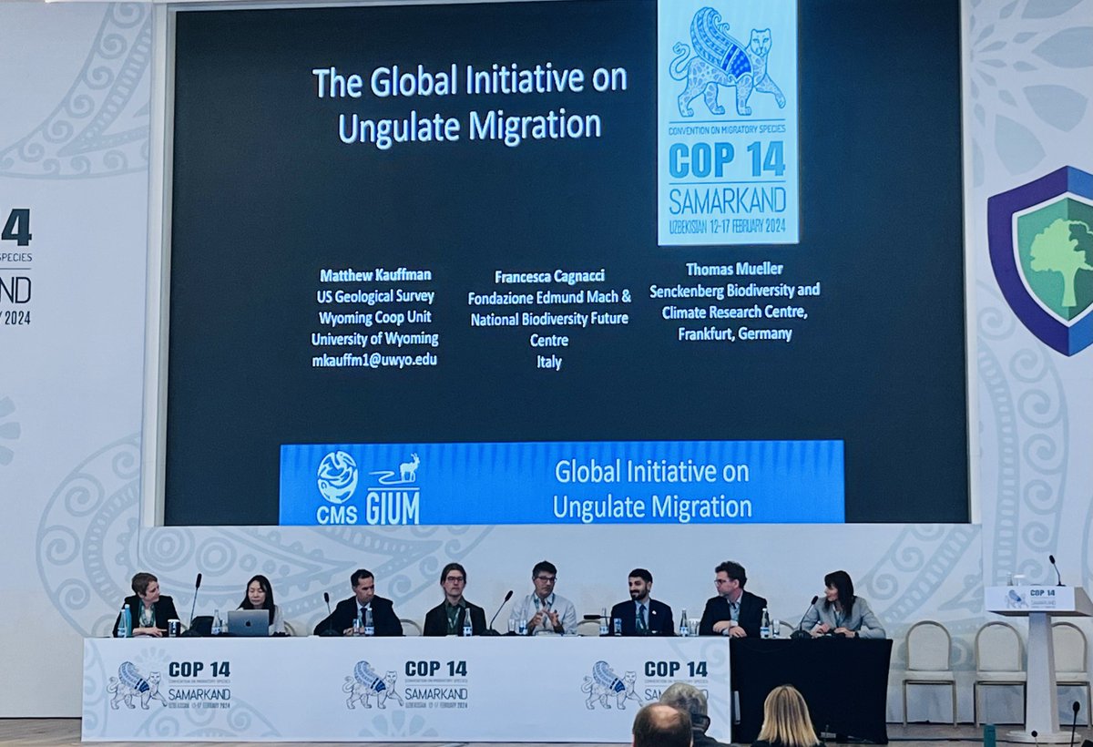 'GIUM is not only a mapping tool but a community of practice' - opening remarks from @BonnConvention in our event where we shared our vision for bringing together researchers, managers and communities around the world to map and conserve ungulate migrations #CMSCOP14
