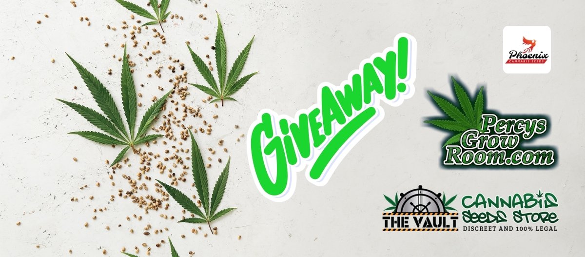 🌱 The Vault Seedbank🌱 tweet media