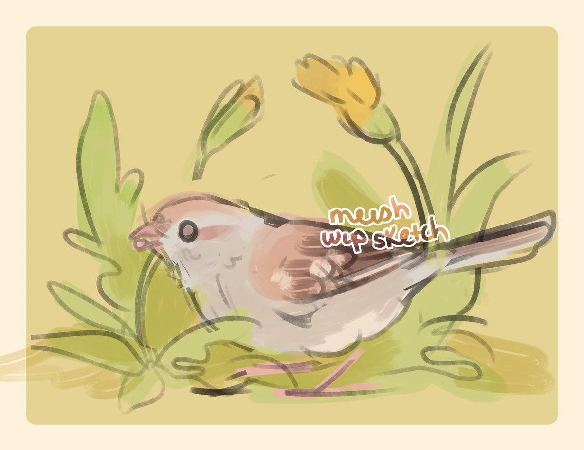Field sparrow &amp; dandelions sketch 🌱