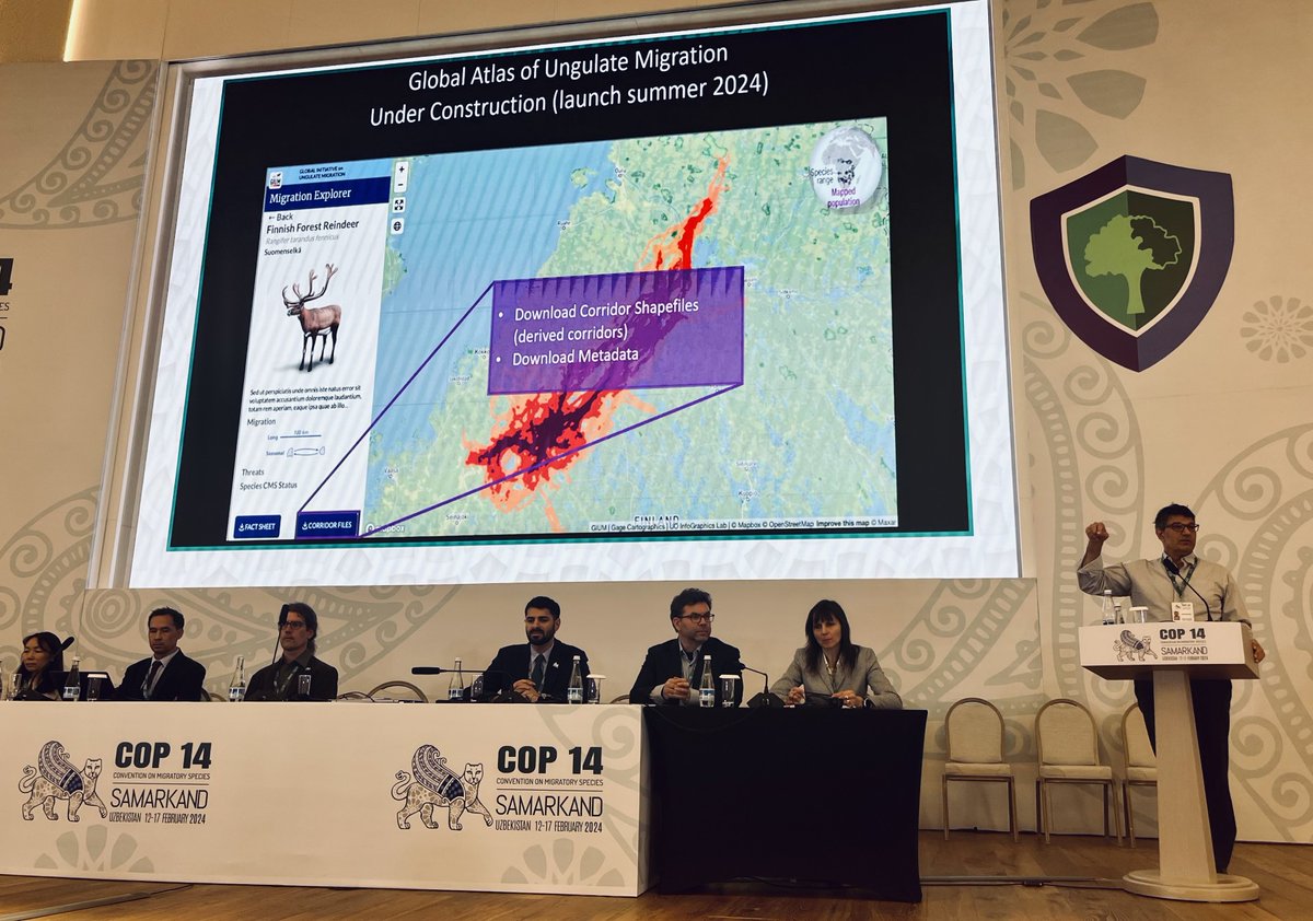 Global Initiative on Ungulate Migration (@migratinghooves) on Twitter photo "Tracking data allows us to literally ask the animals: where do you go and how do you get there?" @wyokauffman at #CMSCOP14. We believe data driven maps are a powerful tool for conserving wild migrations. Learn more here: cms.int/en/gium <a href="/BonnConvention/">Convention on Migratory Species (CMS)</a> "Tracking data allows us to literally ask the animals: where do you go and how do you get there?" @wyokauffman at #CMSCOP14. We believe data driven maps are a powerful tool for conserving wild migrations. Learn more here: cms.int/en/gium <a href="/BonnConvention/">Convention on Migratory Species (CMS)</a>