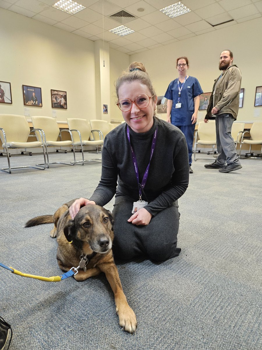 A pawsome day! #thrivethursdays X @pathway_team at our Charing Cross site today with pet therapy for our staff. Loved by all (especially me!) @MLU_1981 @ImperialCharity @ImperialPeople @SigsworthJanice @sue_burgis