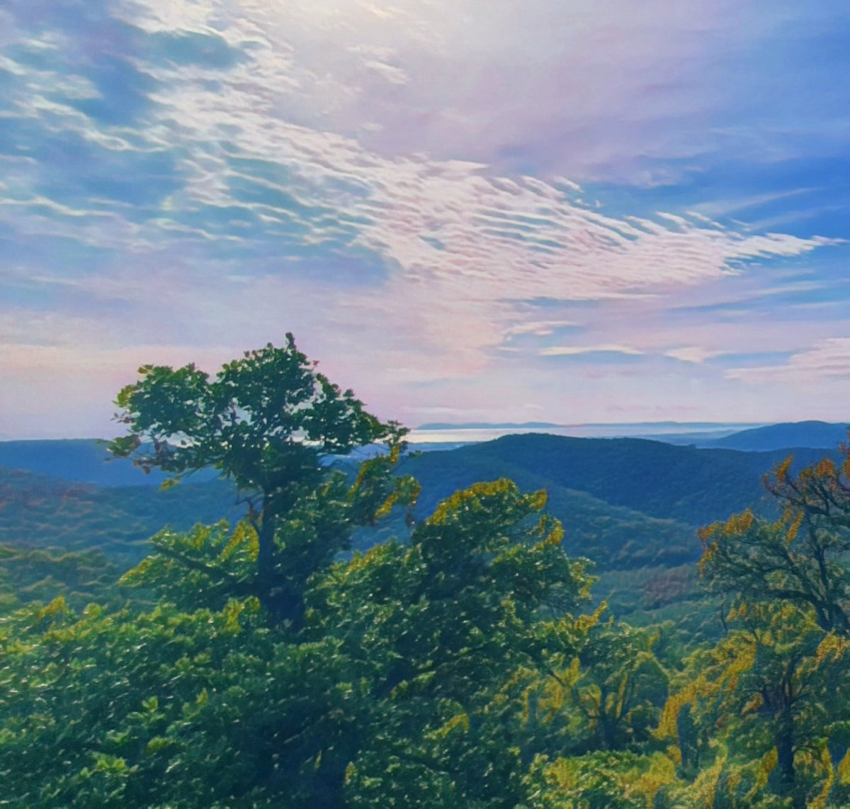 twistertiti27's tweet photo. Un petit bonsoir. 
Loin des prises de tête et moral à 0 côté news RCT
Une journée rando/nature.
#LeViet #LaCrau #LesBorrels 
Histoire de penser à autre chose..
Y a pas (plus) que le rugby dans la vie..
Bonne soirée à Tous 🙏 https://t.co/8YTXiQpTxd