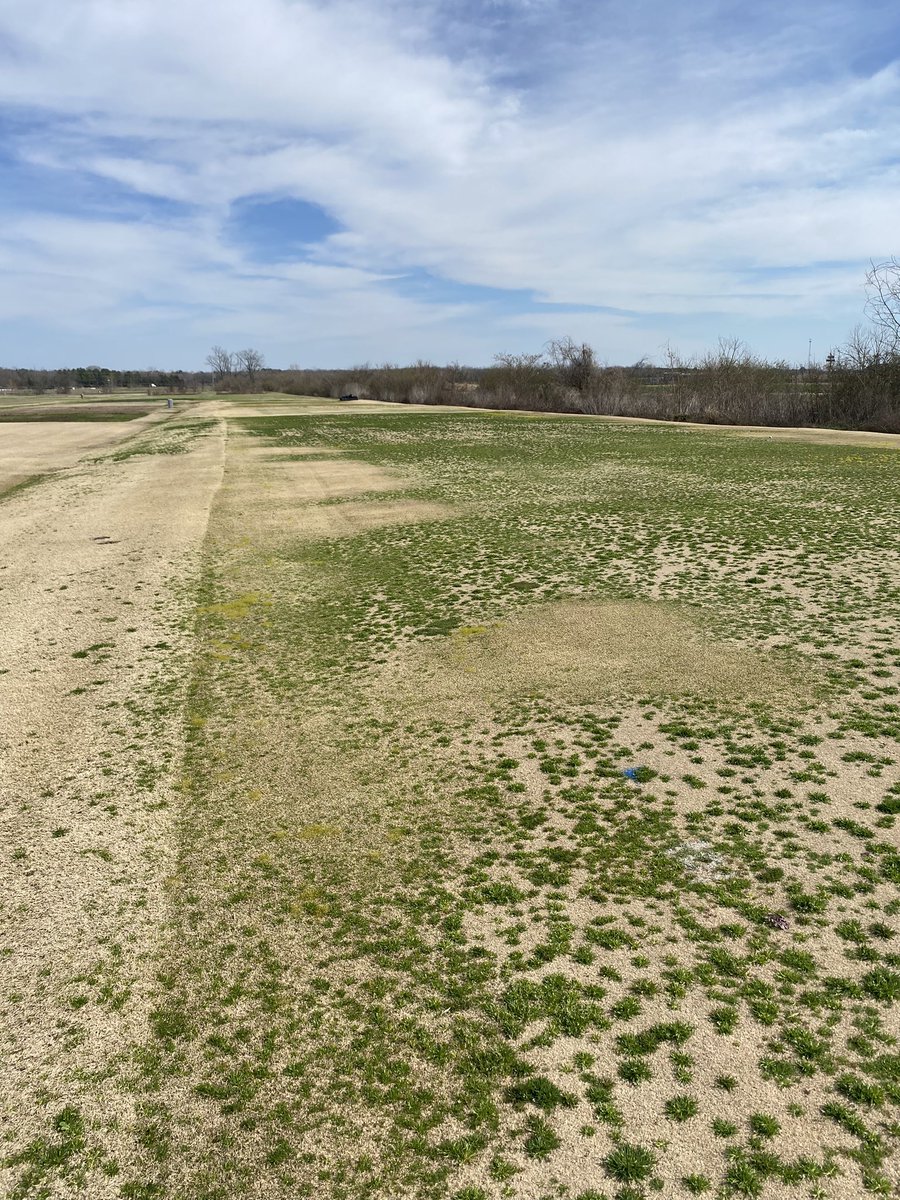 Easy to spot the zoysiagrass contamination on this bermudagrass research green by the lack of annual bluegrass. Turfgrass selection can be the foundation to a good weed control program.