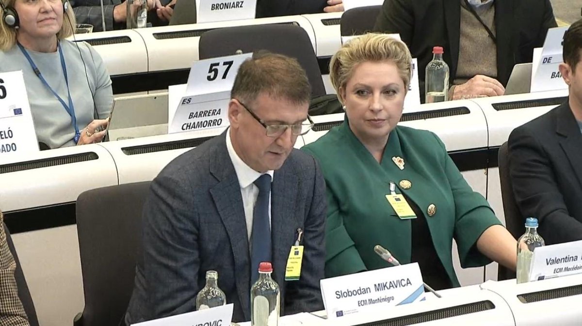 UPCG_MEF's tweet photo. Na poziv @EU_EESC, predsjednik @UPCG_MEF Slobodan Mikavica učestvovao je na Plenarnoj sjednici #EESC.

Mikavica je podržao zvanično pokrenutu inicijativu #EESC i najavio da će #UPCG nastaviti da pruža snažan doprinos procesu EU integracija Crne Gore. 

🔗 https://t.co/qW8b2EYyXs https://t.co/JmeYWCFT9s