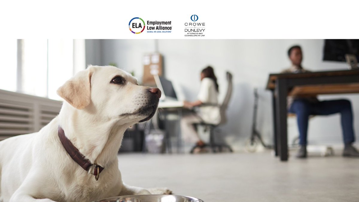 elaglobal's tweet photo. Service animals should be approached like any other reasonable accommodation. In this vlog, we discuss what employers need to know when an employee requests to bring a service animal to work.

https://t.co/OtWBnDtz4F

#employmentlaw #ELA @Crowe_Dunlevy https://t.co/LZ8Pggn9mD