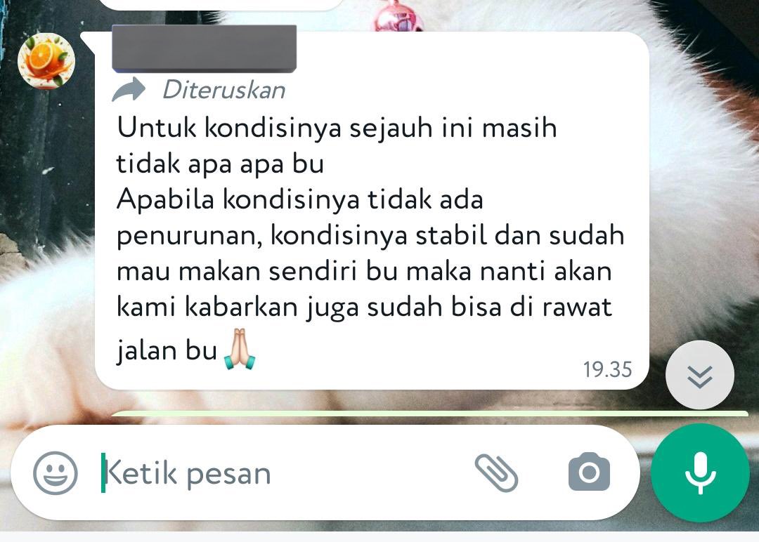 ichaekal's tweet photo. 02) Krn kita liat disana Brown kondisi nya lumayan membaik jadi dgn segala pertimbangan kita putusin buat bawa Brown pulang utk di rawat jalan.

Walaupun dari vet blm disaranin krn masih blm mau makan sendiri tp kita pikir gapapa kalo kita aja yg suapin di rumah https://t.co/Jn1sGI94I9