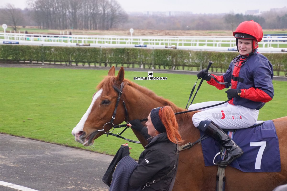 Runner up in race one at Newcastle on Tuesday evening, BOBBY SHAFTOE (Mazameer x Sister Red) Trained by @JimGoldieRacing, owned by James Callow & J S Goldie and ridden by @alex_jary. A regular at Newcastle with four career wins and seven placings.