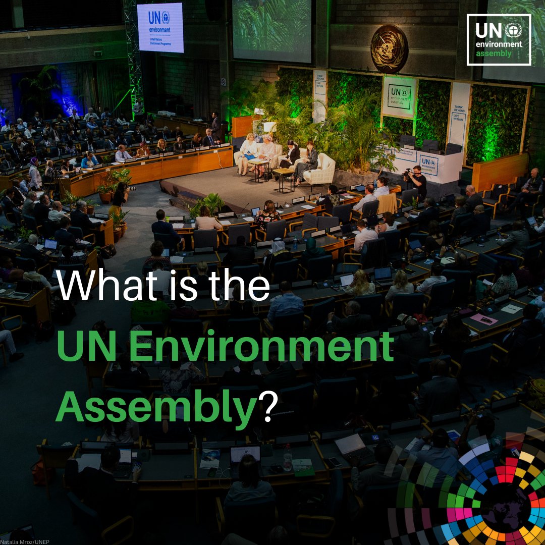 UN DESA Sustainable Development tweet media