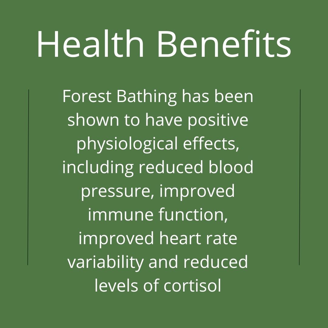 Neuro In Nature CIC tweet media