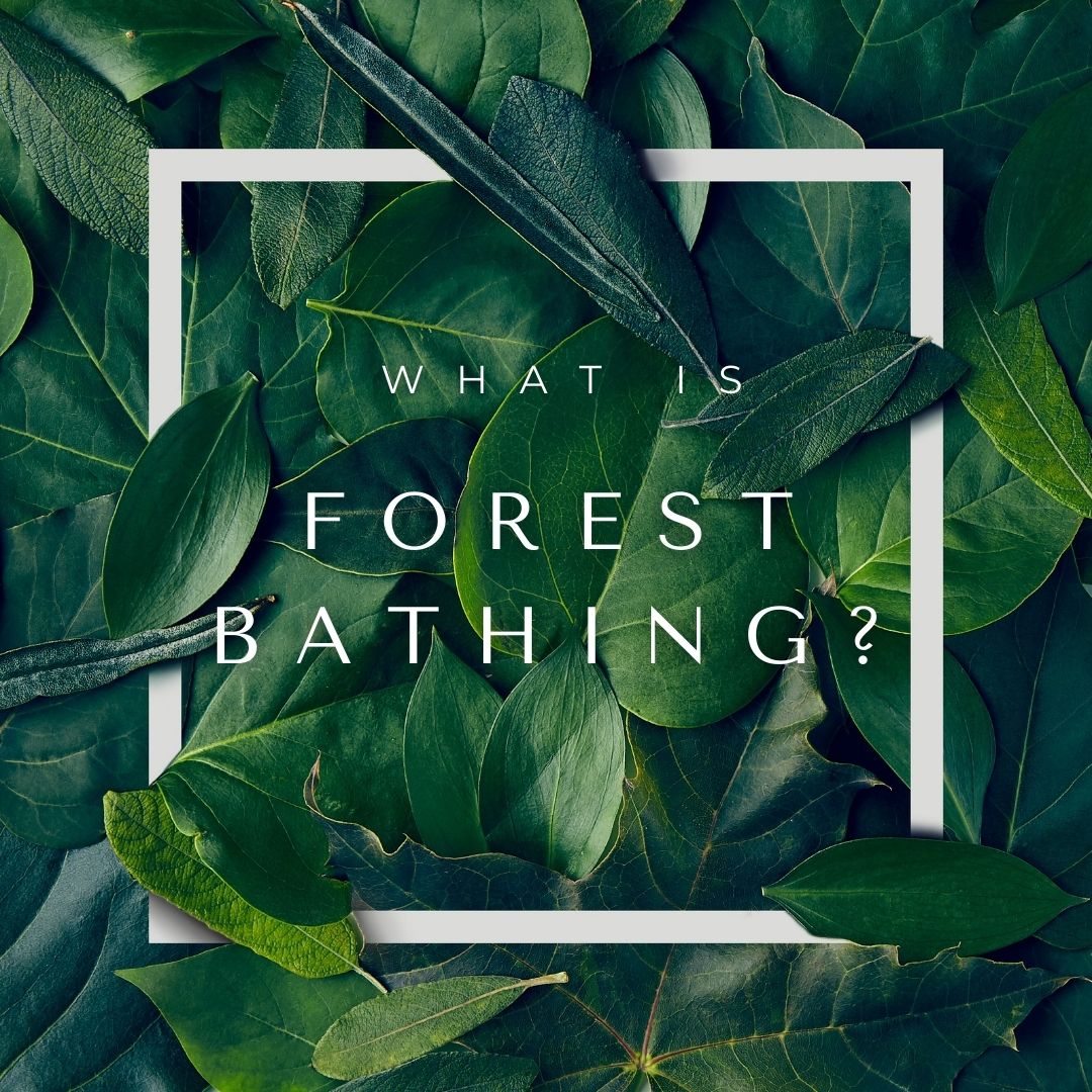 Neuro In Nature CIC tweet media