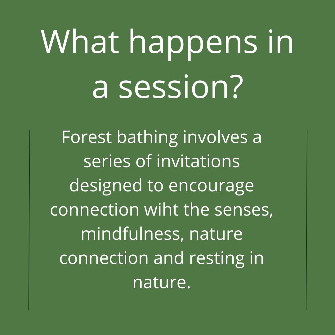 Curious about what Forest Bathing is?

Here's some more information about what it involves and the health benefits. 

Sounds good? Why not book on one of our upcoming sessions to experience it for yourself. 

3rd March 
7th April 
23rd June.

eventbrite.com/e/forest-bathi…