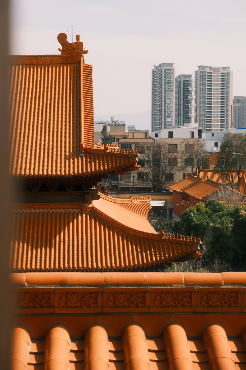 JaycieUpro's tweet photo. 红墙琉璃瓦，
饶是气派🪭 https://t.co/d7BaqMFIuA