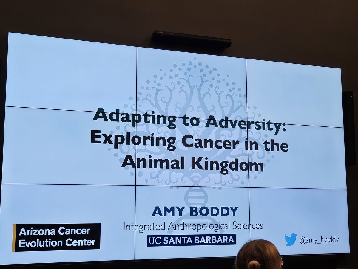 luddyka's tweet photo. Adapting to Adversity: Exploring cancer in the animal kingdom 
By @amy_boddy 

Cancer is a consequence of multicellularity. https://t.co/4Z0J29fYRy