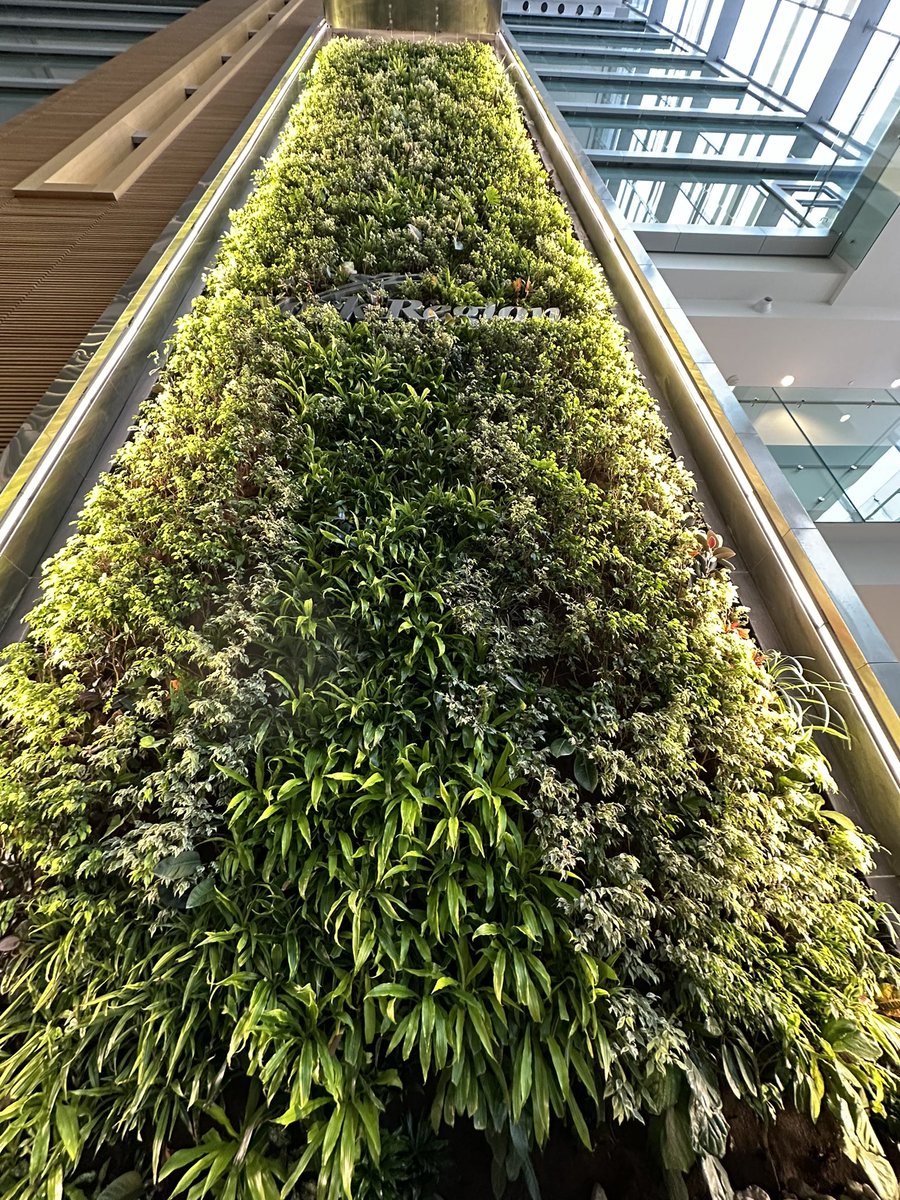 KavanaghMarie's tweet photo. Day 46 - office day and snow, translate to an indoor walk around our office buildings. #100daysofwalking #Canada, #connectingbridges #livewall https://t.co/LOnmu7SYZK