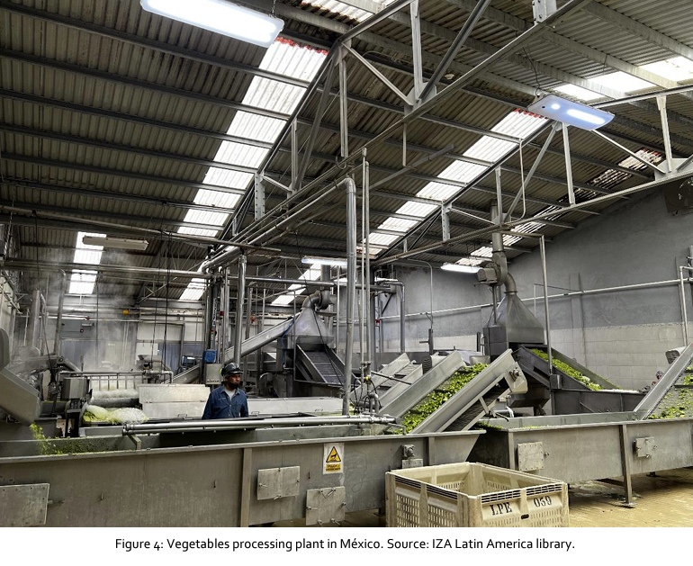 IZAthinkzinc's tweet photo. #Zinc coatings provide a sustainable, affordable & long-lasting solution to the challenge of corrosion, and they are commonly used in Mexico's #greenhouses, where they resist abrasion and stand up to the hot and humid environs. #ZincForTheFuture #agriculture #galvanization #hdg https://t.co/9iE0b5VefM