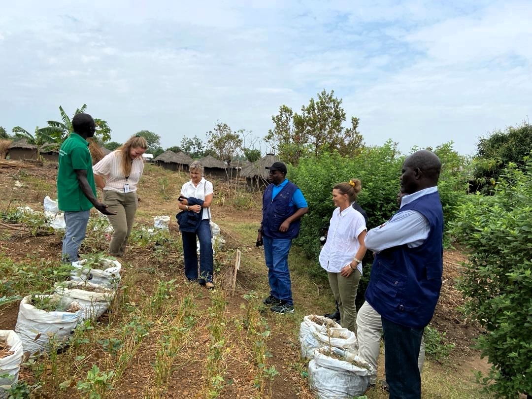 Med støtte fra den norske ambassaden i Uganda får 12 000 husstander styrket sin matsikkerhet i flyktningbosettingen Bidibidi og vertsdistriktet Yumbe. Denne uka møtte ambassadøren noen av deltakerne i prosjektet. @NorwayUganda