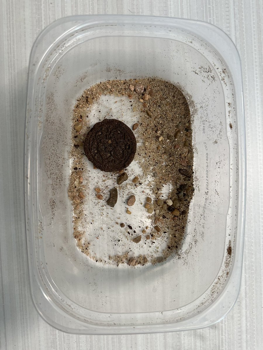 We are getting hands on while modeling weathering, erosion, and deposition. We love a good investigation! #OwlAboutTheBest