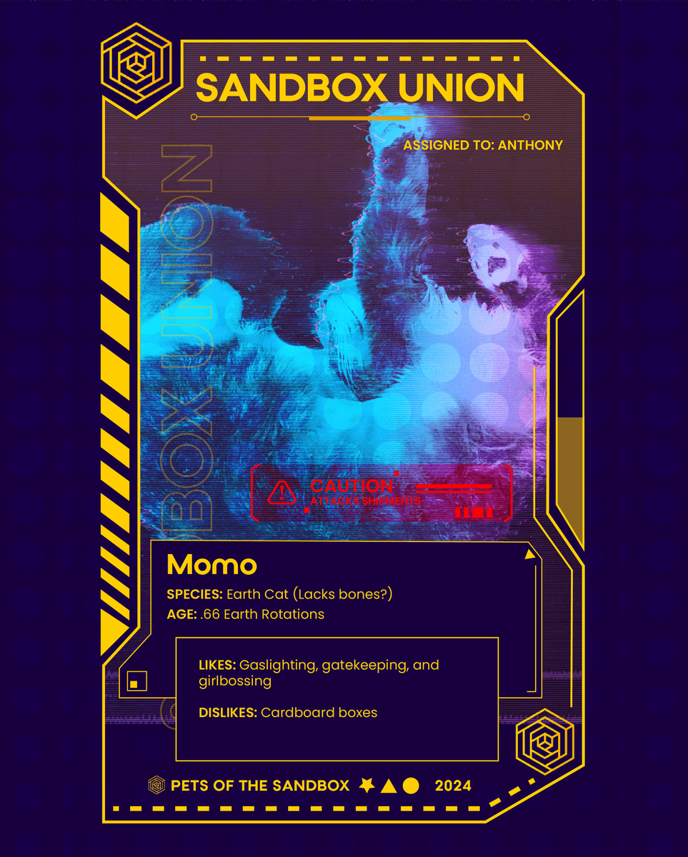SandBoxUnion's tweet photo. Pets of the Sandbox!  Meet Momo!
Stay tuned for more pets!
#pets #cat #scifi #SBU  #cyberpunk #spotlight https://t.co/Z3xKuvB2yh
