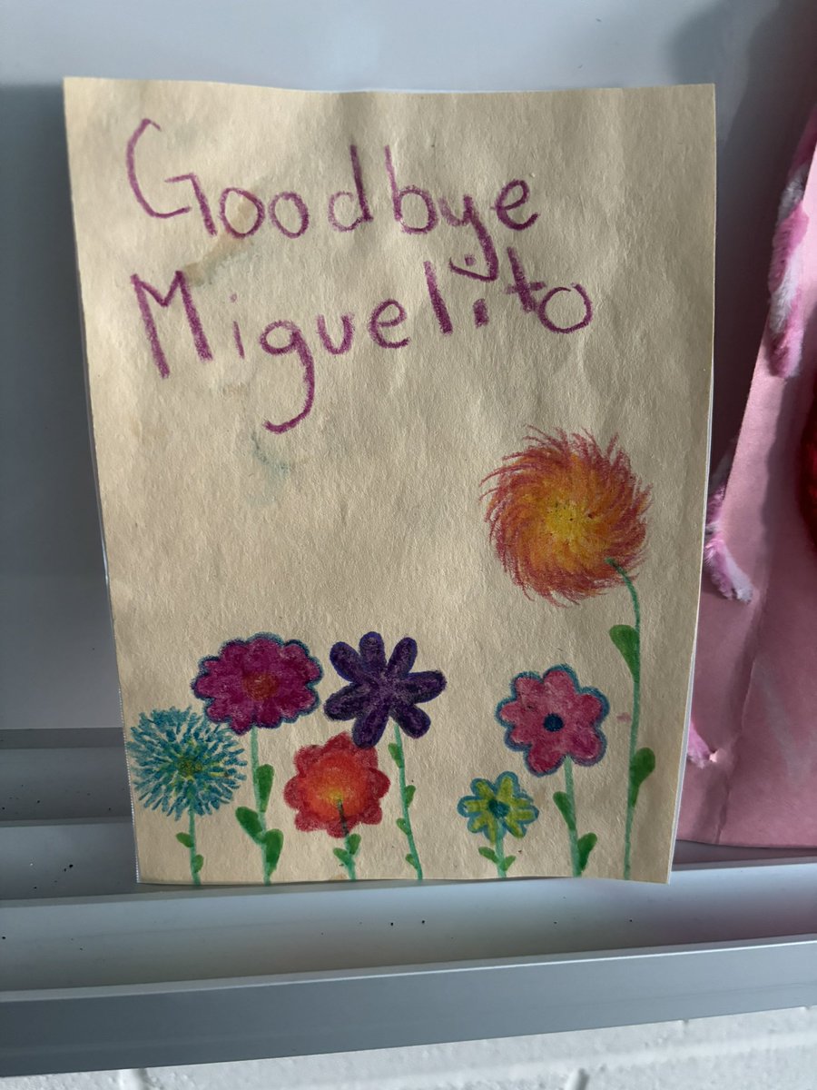 Ashley Fazzari (she/her) tweet media