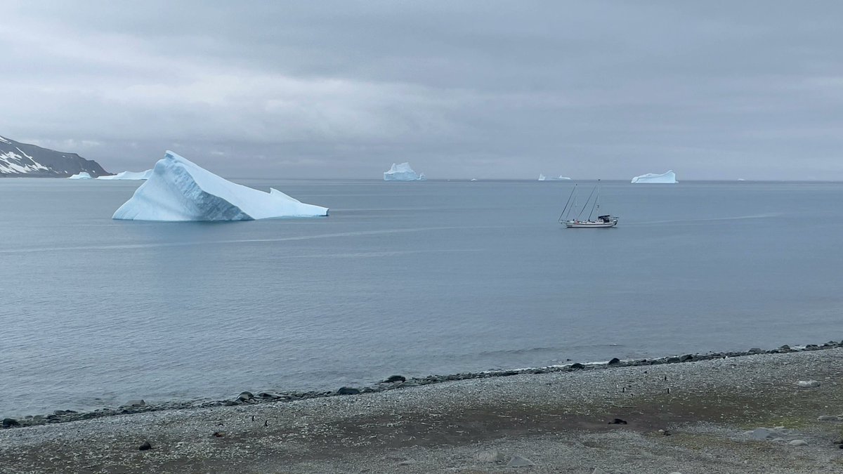 polar2e's tweet photo. Morning in Hurd's False Bay & rocky glacier. The projects THAWIMPACT and BIOCRUST conducted aerial surveys, MARMOREAL collected rock & soil samples, & SAIL-BIO conducted a trawl to collect zooplankton & microplastics. #coastantar #propolar #polar2e #ulisboa #FCT #antártida #igot https://t.co/I5IfmqMhX0