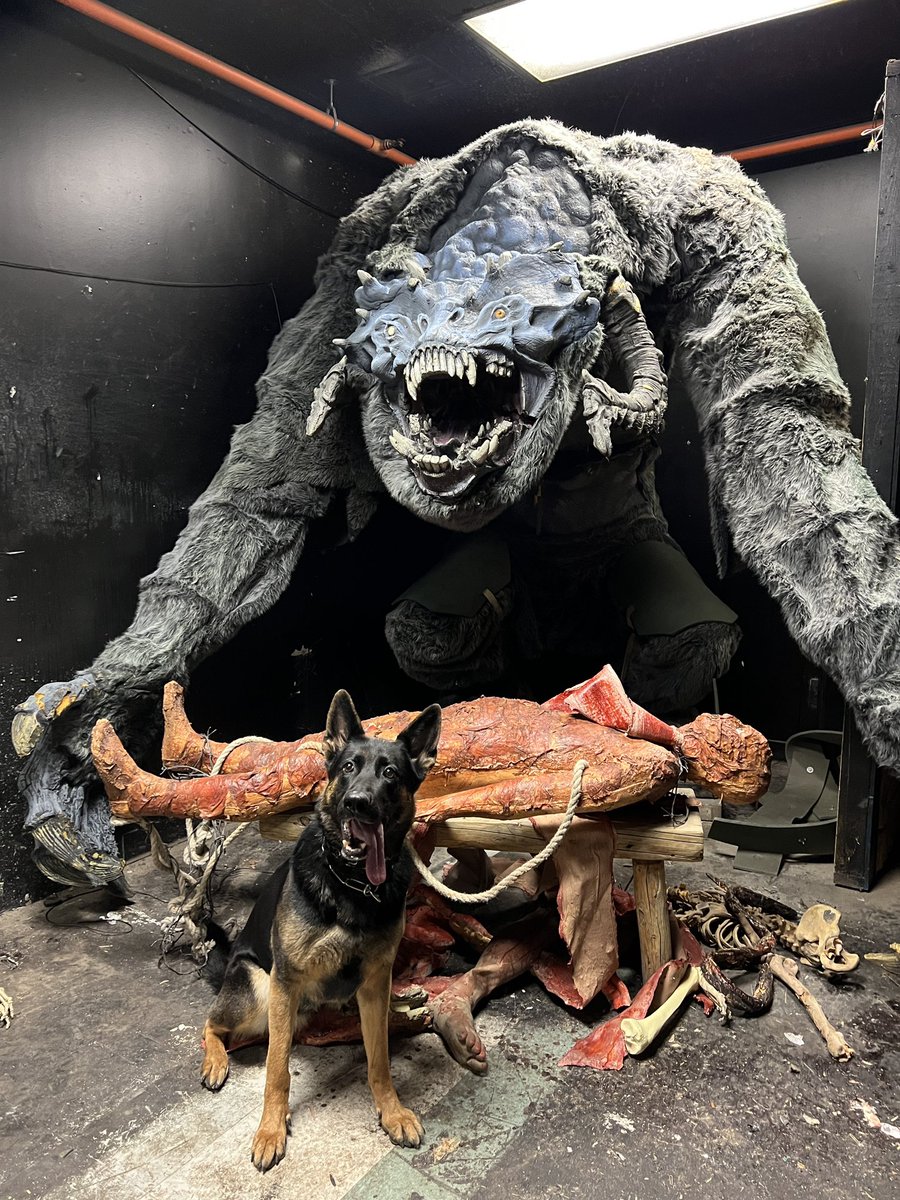 HiDef K9 / Team K9 tweet media