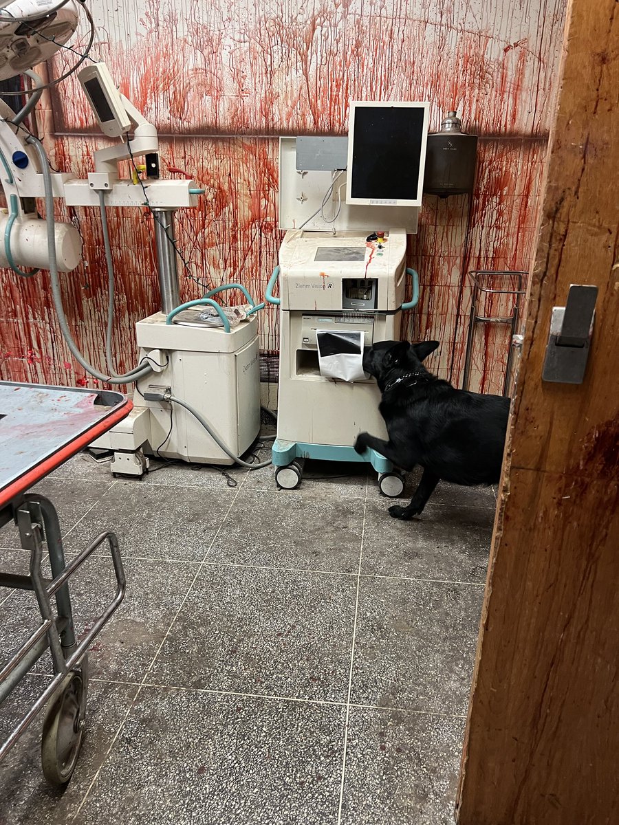 HiDef K9 / Team K9 tweet media