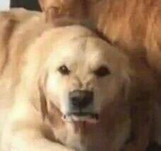 qm q nunca sumiu e voltou como se nada tivesse acontecido, q atire a primeira pedra