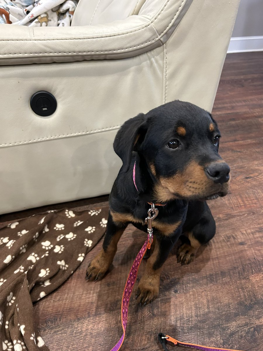 i have too many of this mfs now