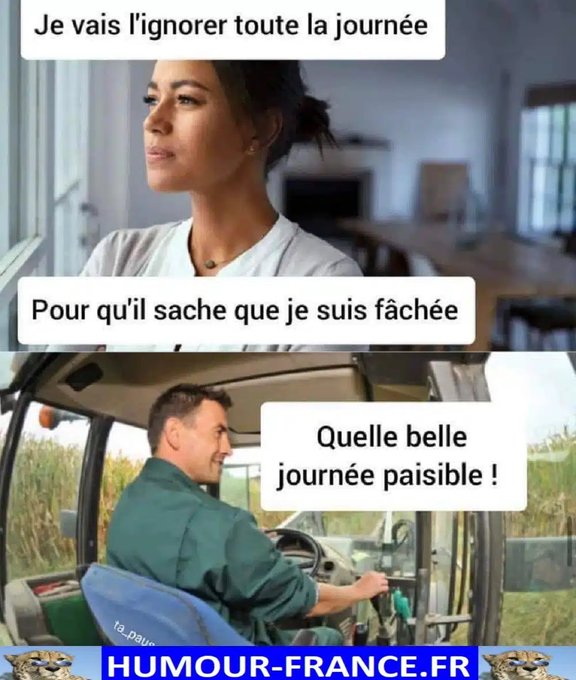 text alternatif