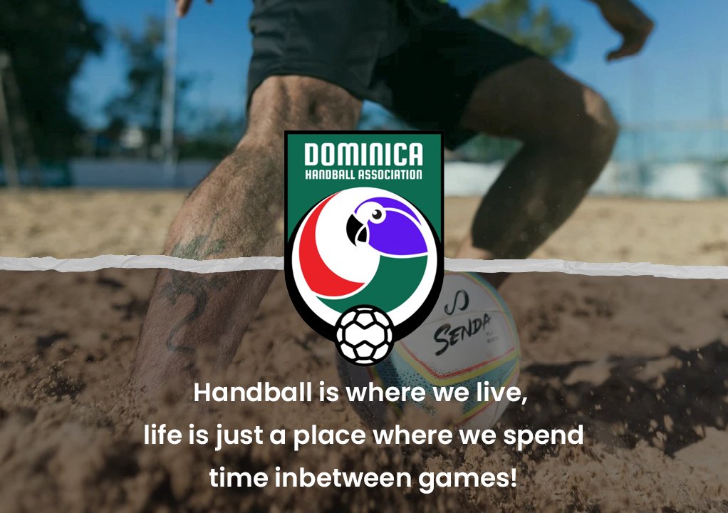 DcaHandball's tweet photo. Handball ain't for the faint of heart. It's a non-stop battle for dominance, where every dive, jump, and throw requires grit, determination, and unwavering focus. Are you ready to step onto the court and conquer the competition? #HandballWarriors #NoPainNoGain #BeTheHero https://t.co/HdHKbyaDcO