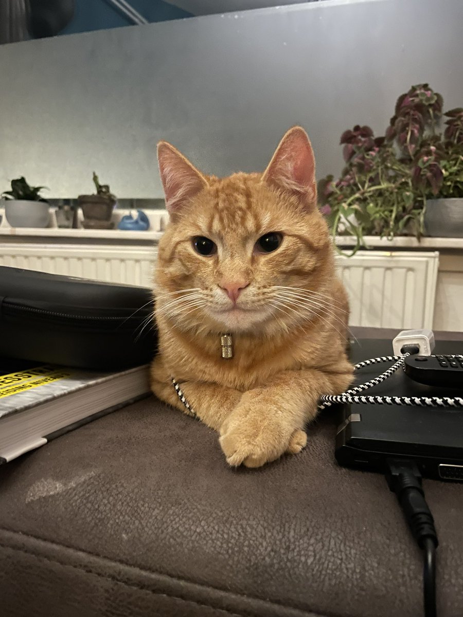 Schmeckel: een #drieluik 

Omdat vandaag een goede dag was voor alle #PAIS #ME en #LongCovid patiënten is in NL.