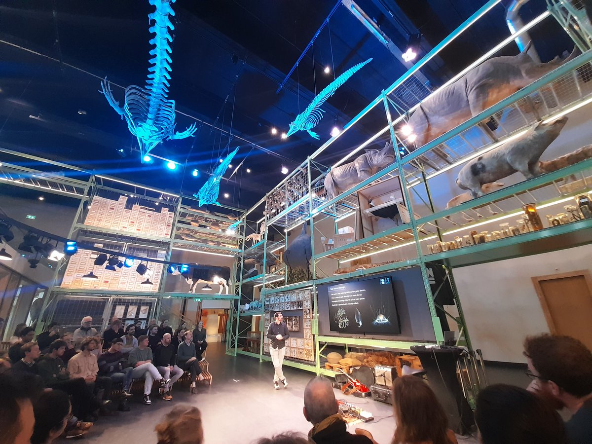 ange_cibrian's tweet photo. @Naturalis_Sci #Colloquium on #bipolar species by  @JoanJSoto and #seabutterflies by @katjaplankton - how #pteropods adapte to increasingly acid #oceans #LiveScience https://t.co/TUAzAEAJZF