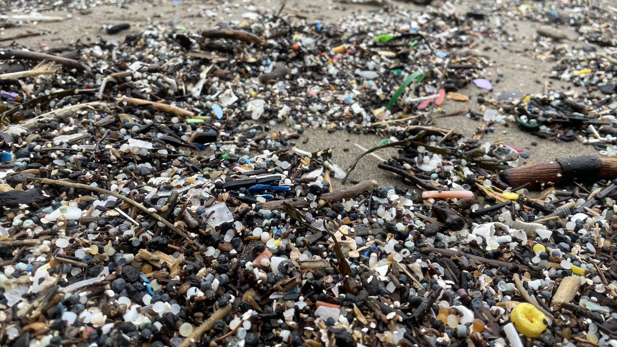 Lego Lost At Sea tweet media